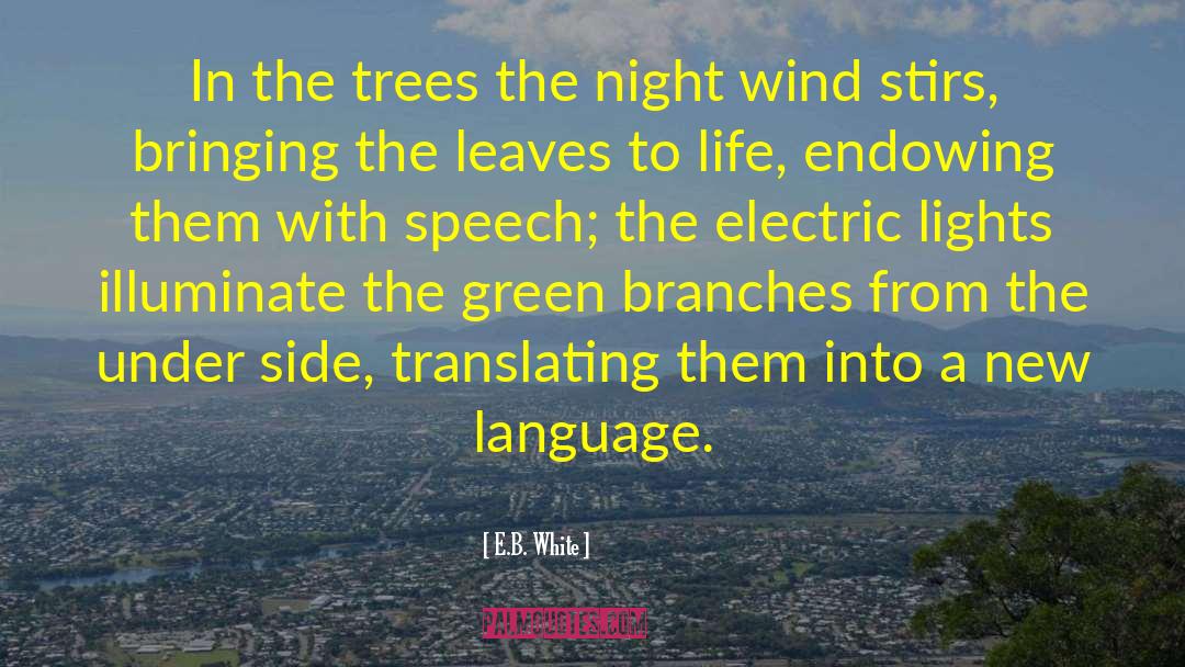 E.B. White Quotes: In the trees the night