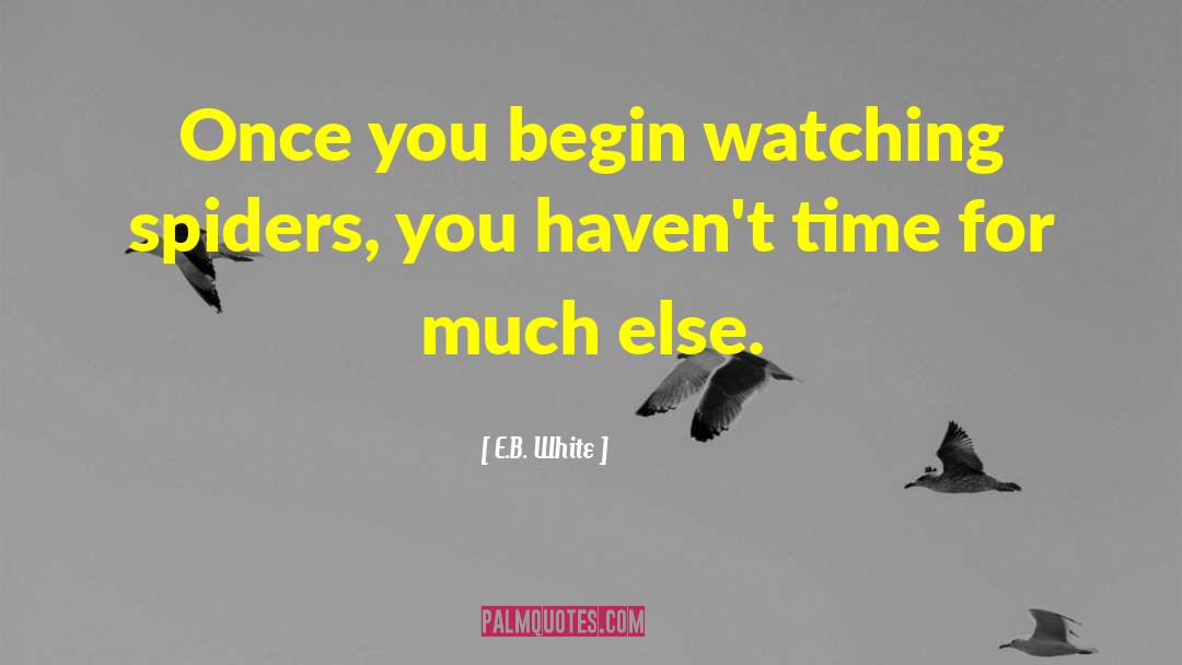 E.B. White Quotes: Once you begin watching spiders,