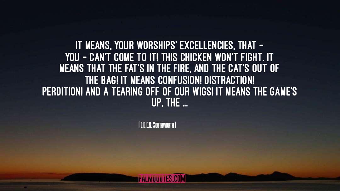 E.D.E.N. Southworth Quotes: It means, your worships' excellencies,