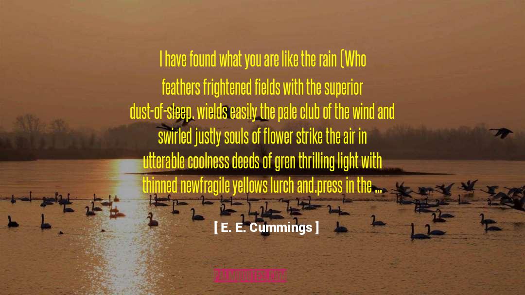 E. E. Cummings Quotes: I have found what you