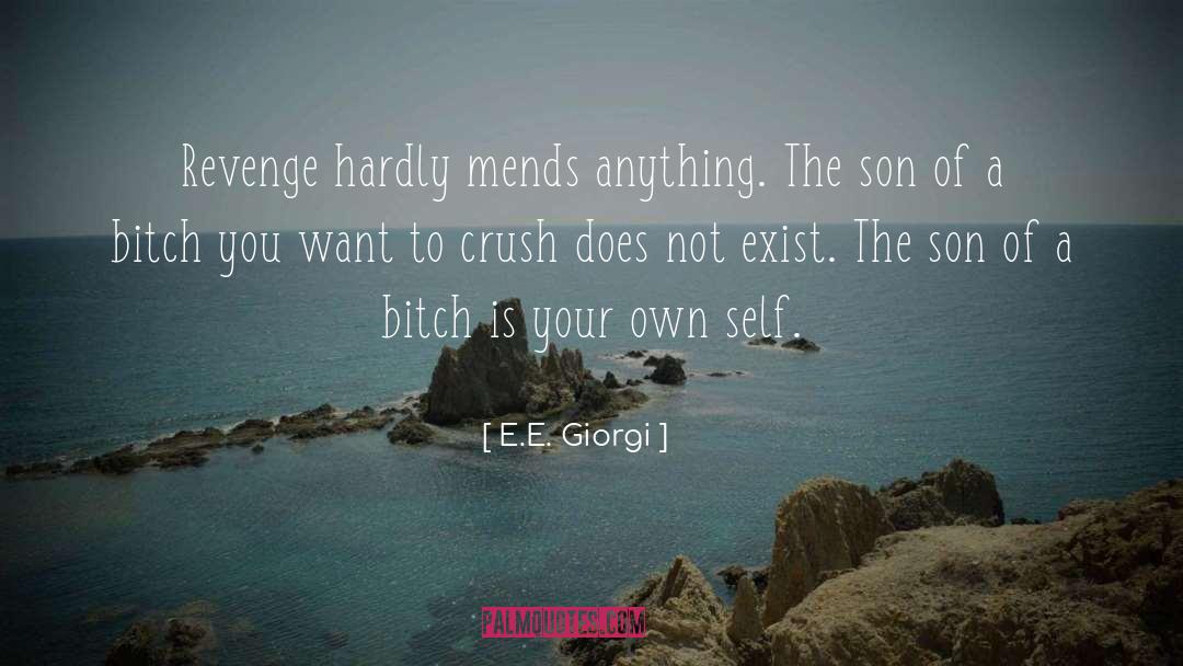 E.E. Giorgi Quotes: Revenge hardly mends anything. The