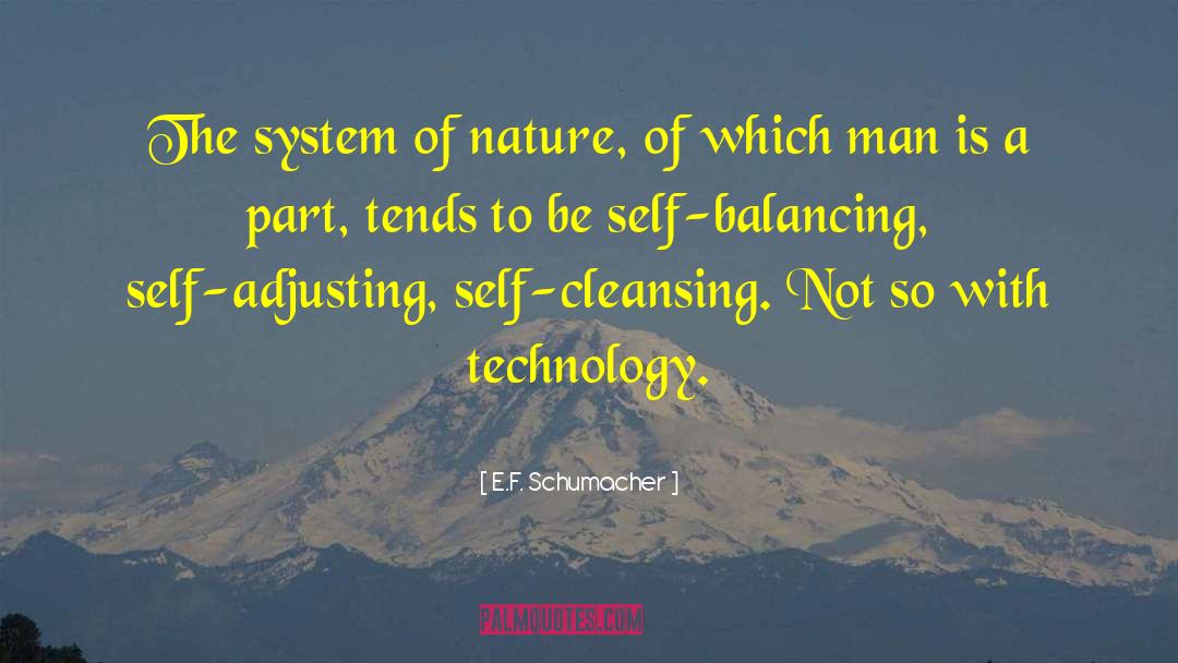 E.F. Schumacher Quotes: The system of nature, of