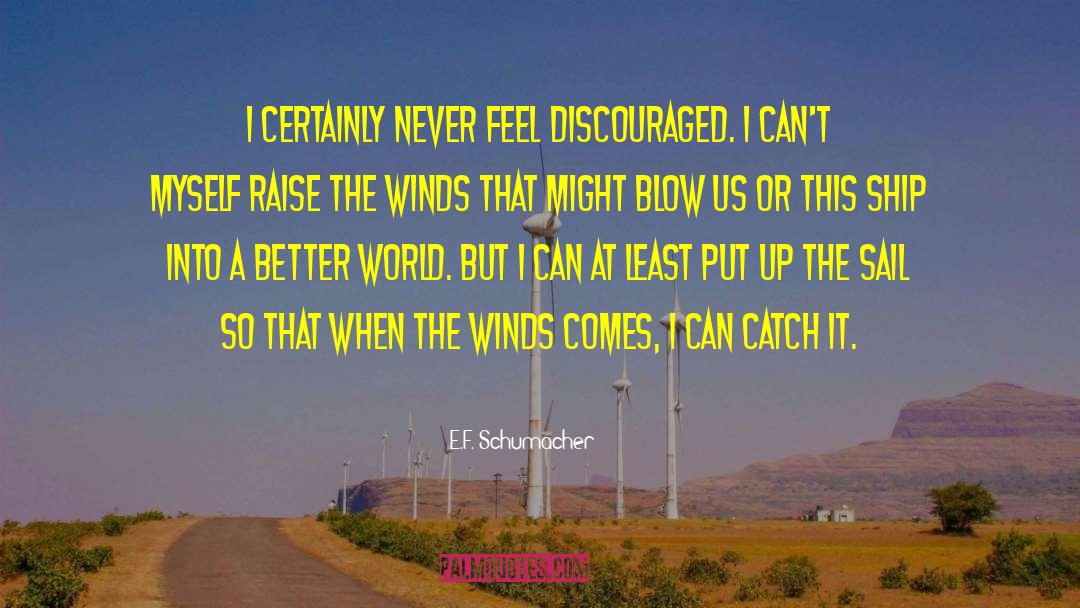 E.F. Schumacher Quotes: I certainly never feel discouraged.