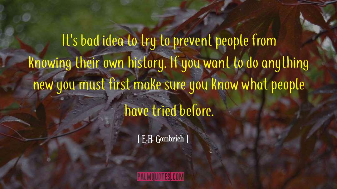 E.H. Gombrich Quotes: It's bad idea to try