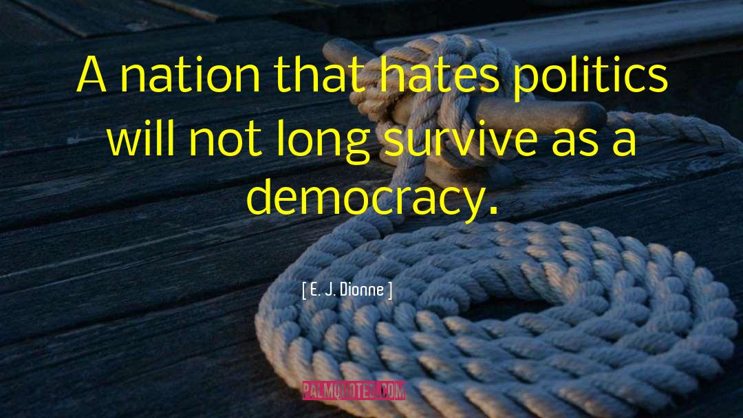 E. J. Dionne Quotes: A nation that hates politics