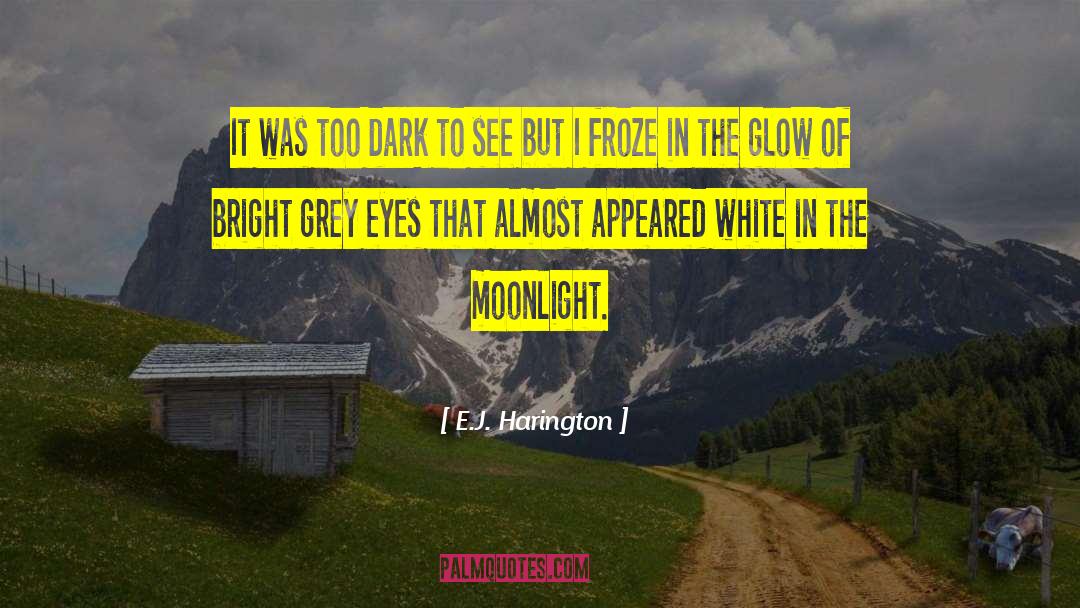 E.J. Harington Quotes: It was too dark to