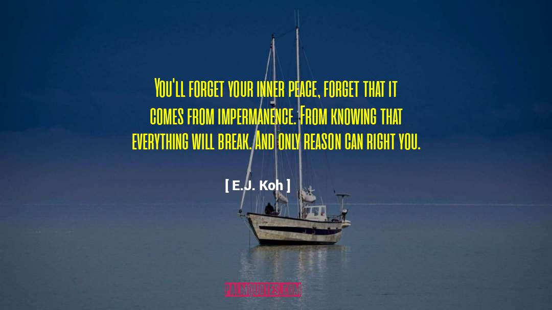 E.J. Koh Quotes: You'll forget your inner peace,