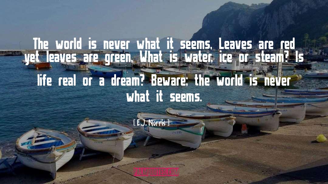 E.J. Norris Quotes: The world is never what