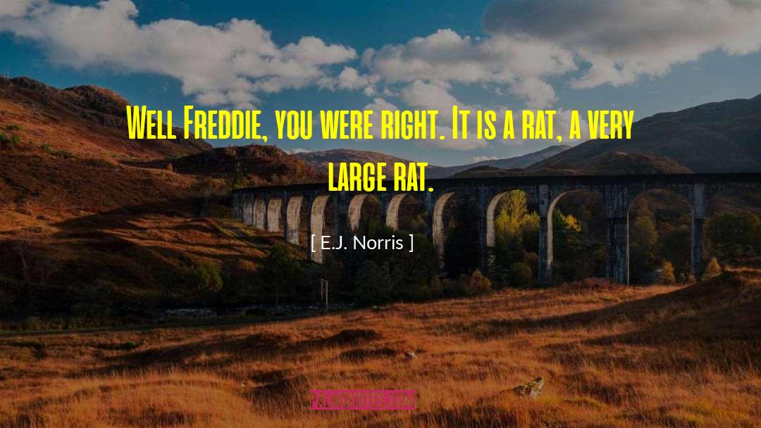 E.J. Norris Quotes: Well Freddie, you were right.