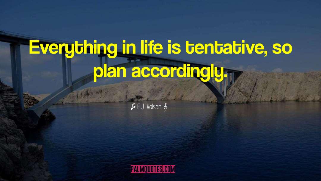 E.J. Valson Quotes: Everything in life is tentative,