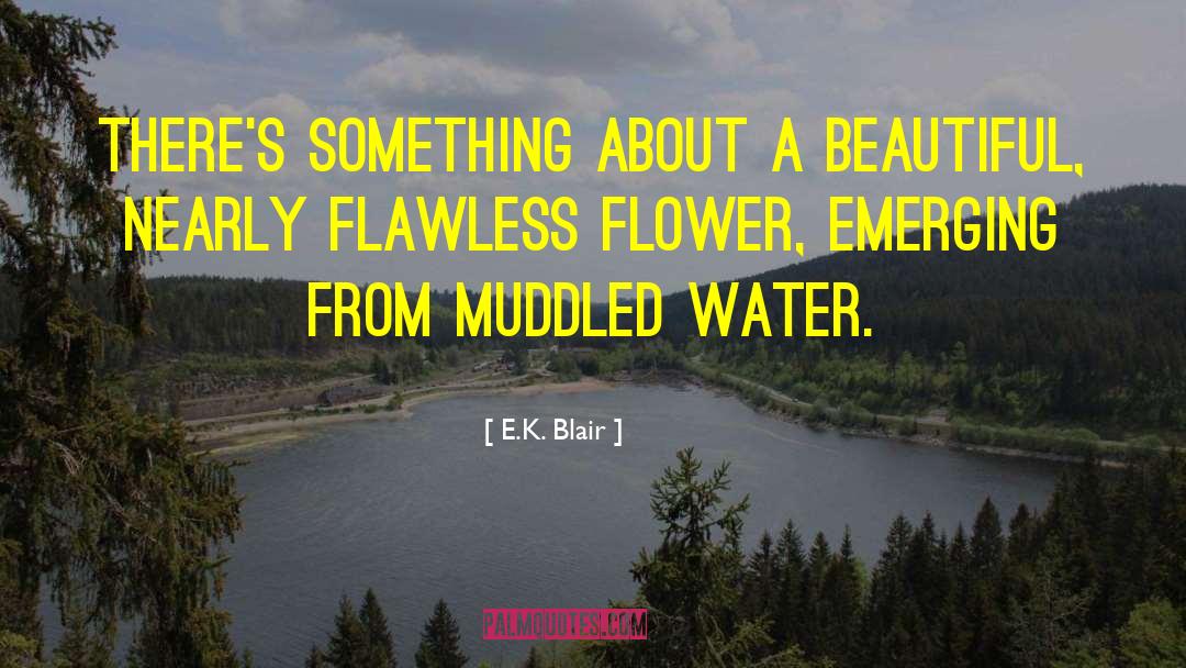 E.K. Blair Quotes: There's something about a beautiful,