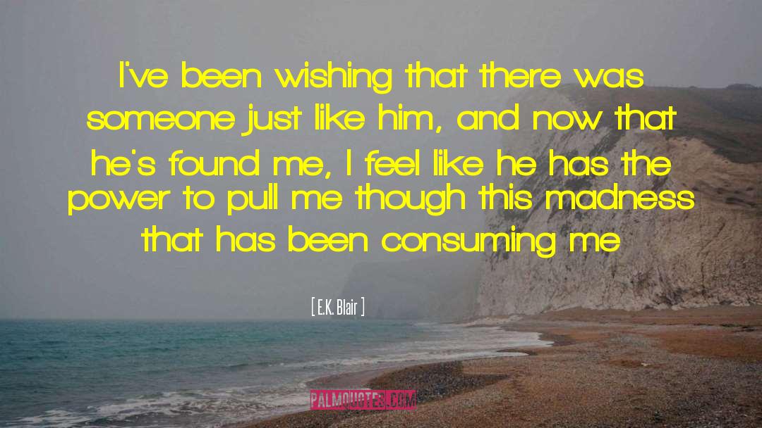 E.K. Blair Quotes: I've been wishing that there