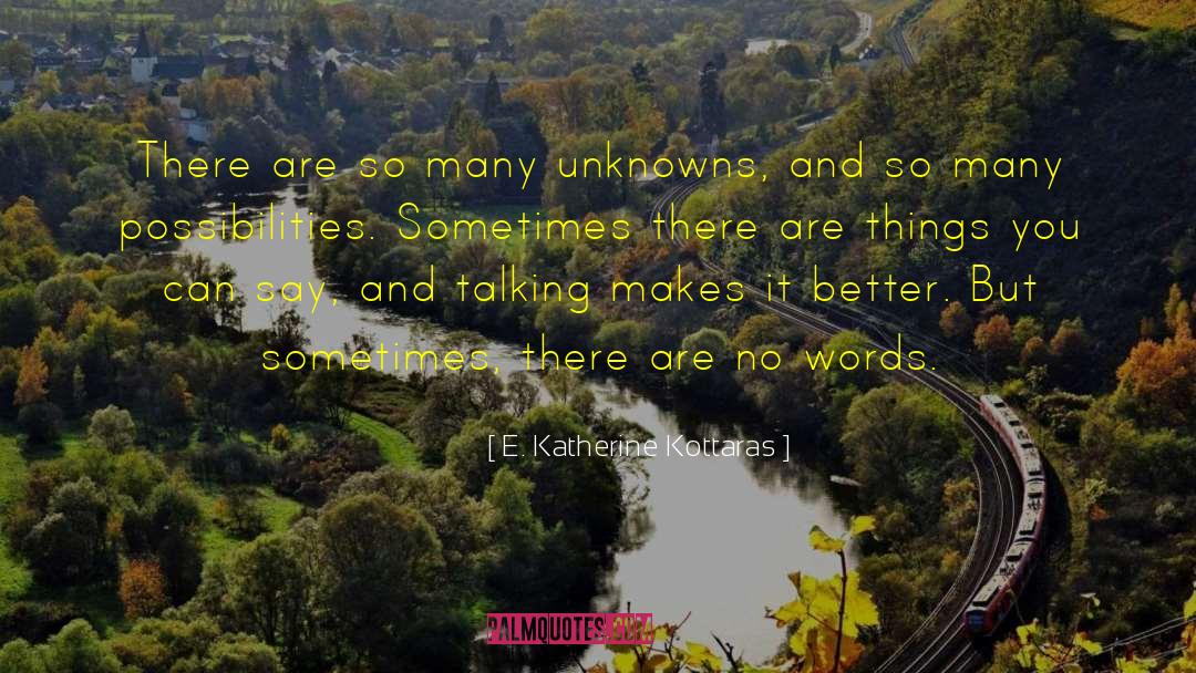 E. Katherine Kottaras Quotes: There are so many unknowns,