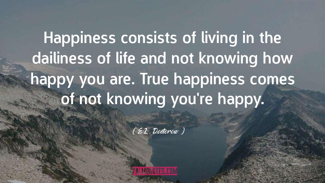 E.L. Doctorow Quotes: Happiness consists of living in