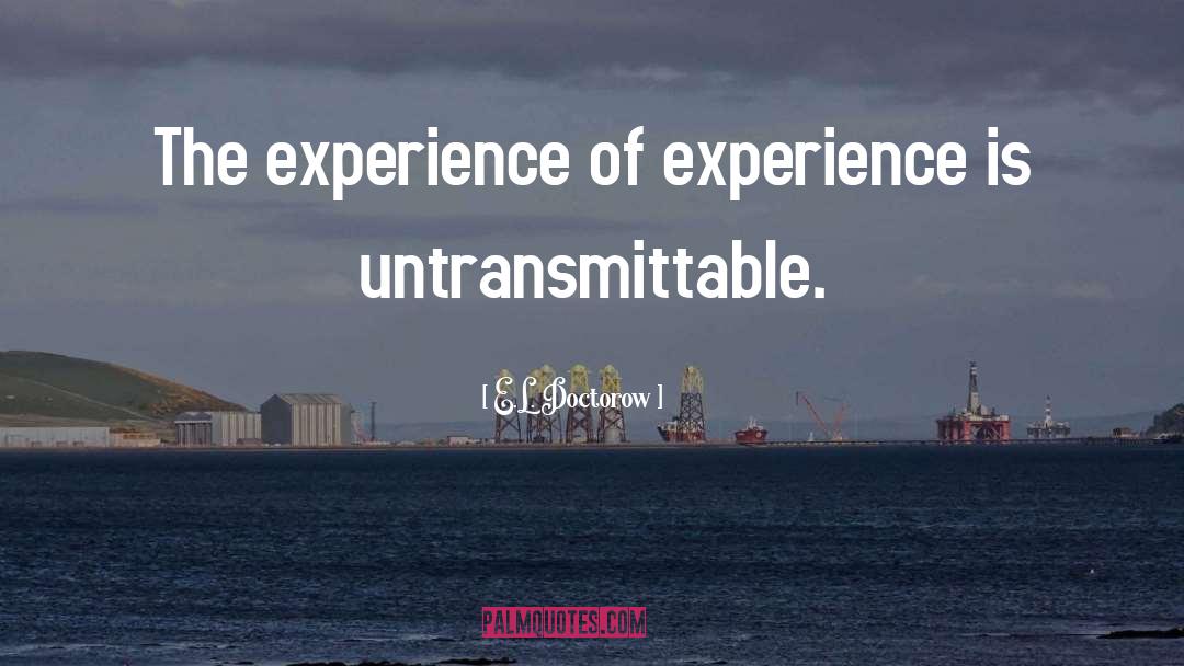 E.L. Doctorow Quotes: The experience of experience is