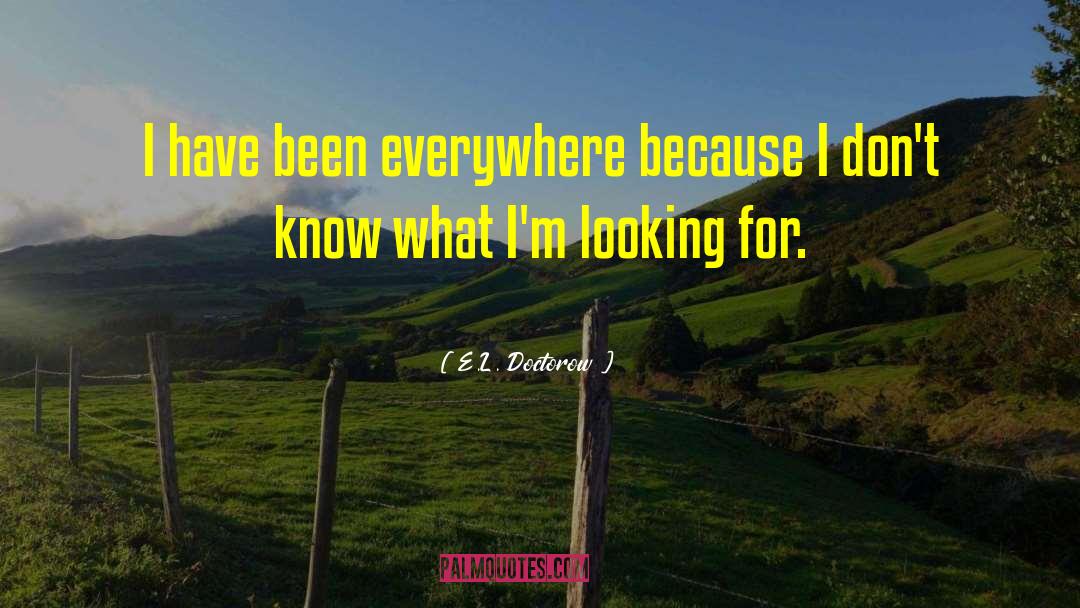 E.L. Doctorow Quotes: I have been everywhere because