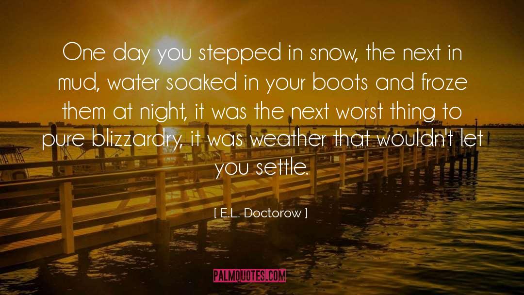 E.L. Doctorow Quotes: One day you stepped in