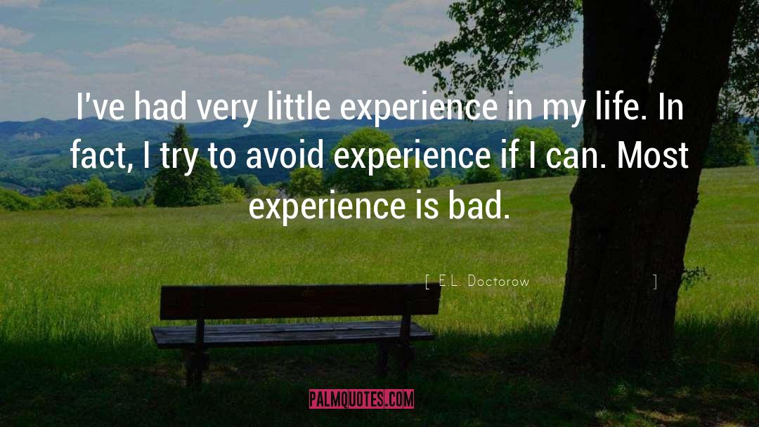 E.L. Doctorow Quotes: I've had very little experience