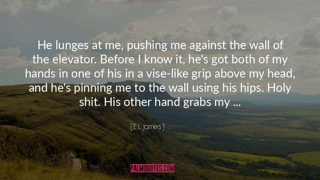 E.L. James Quotes: He lunges at me, pushing