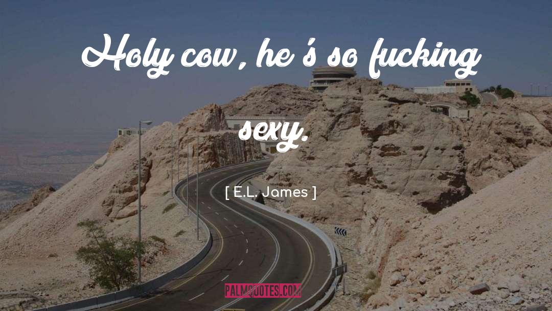 E.L. James Quotes: Holy cow, he's so fucking