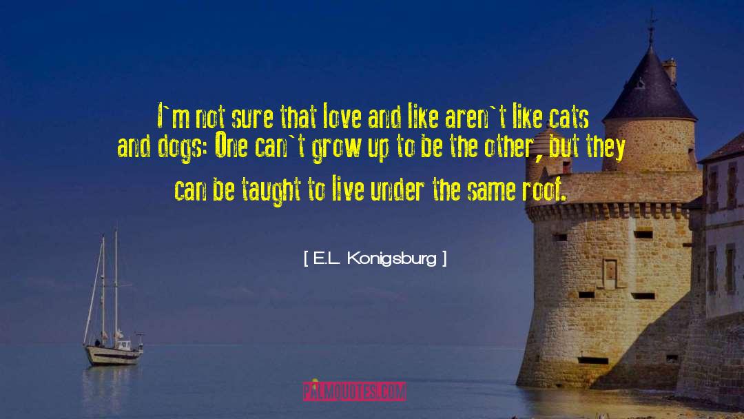 E.L. Konigsburg Quotes: I'm not sure that love