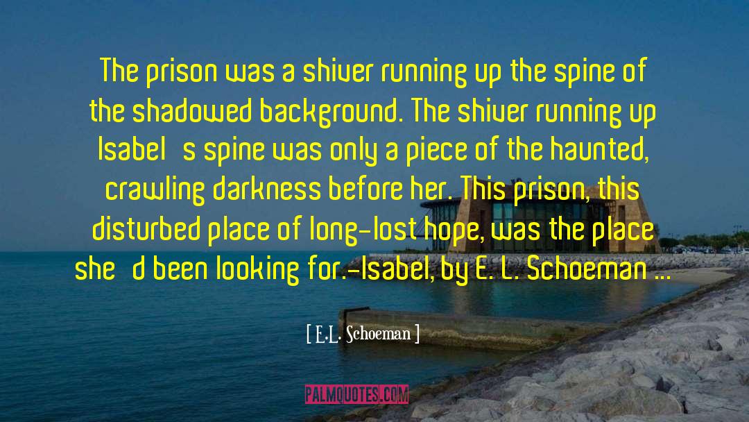 E.L. Schoeman Quotes: The prison was a shiver