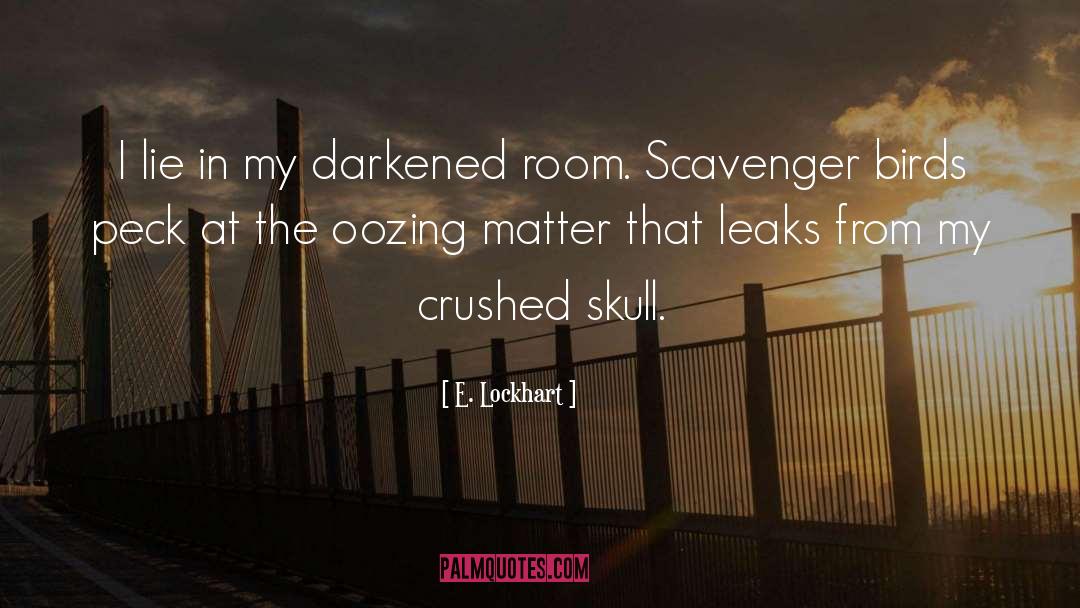 E. Lockhart Quotes: I lie in my darkened