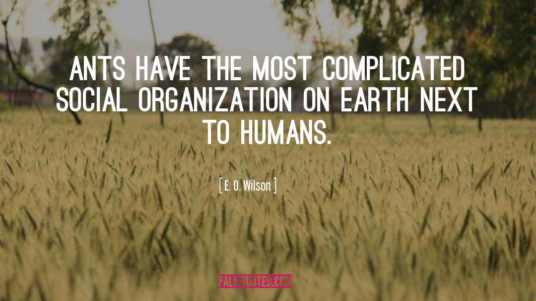 E. O. Wilson Quotes: Ants have the most complicated