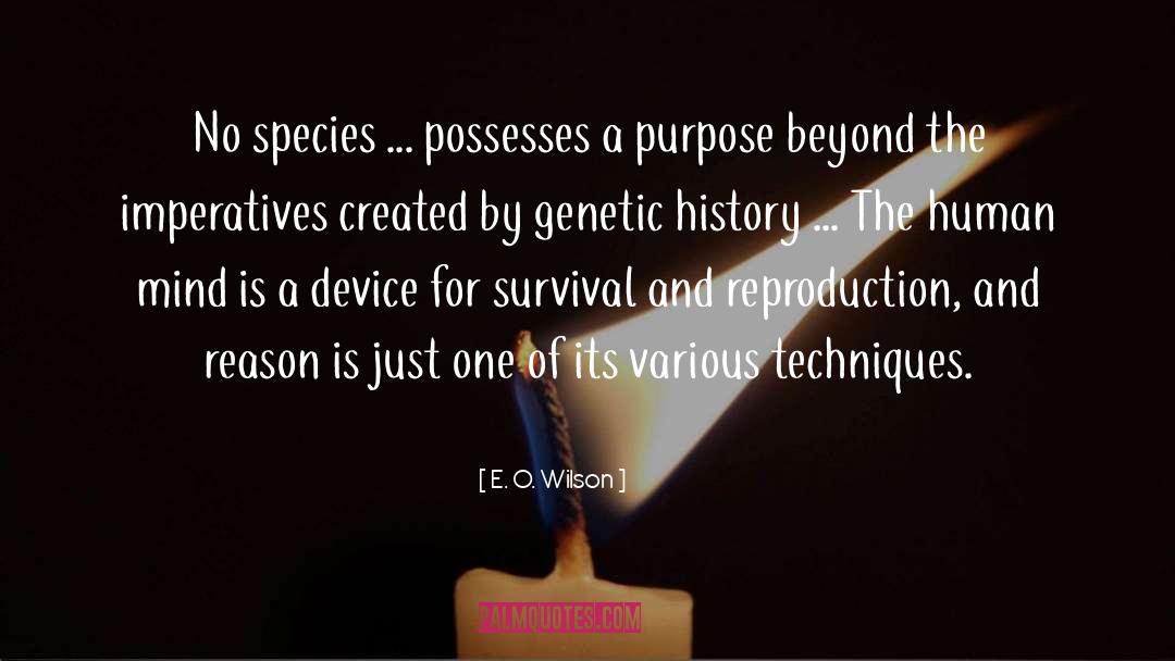 E. O. Wilson Quotes: No species ... possesses a