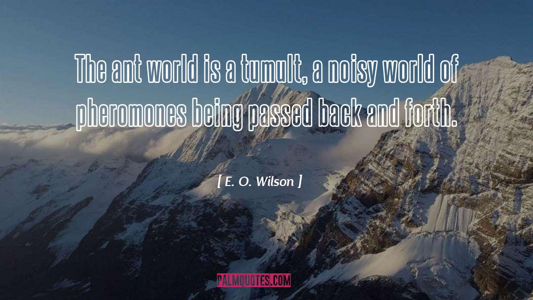 E. O. Wilson Quotes: The ant world is a