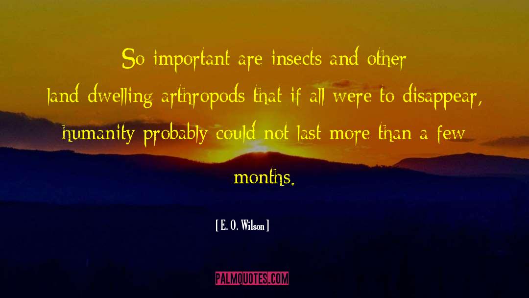 E. O. Wilson Quotes: So important are insects and