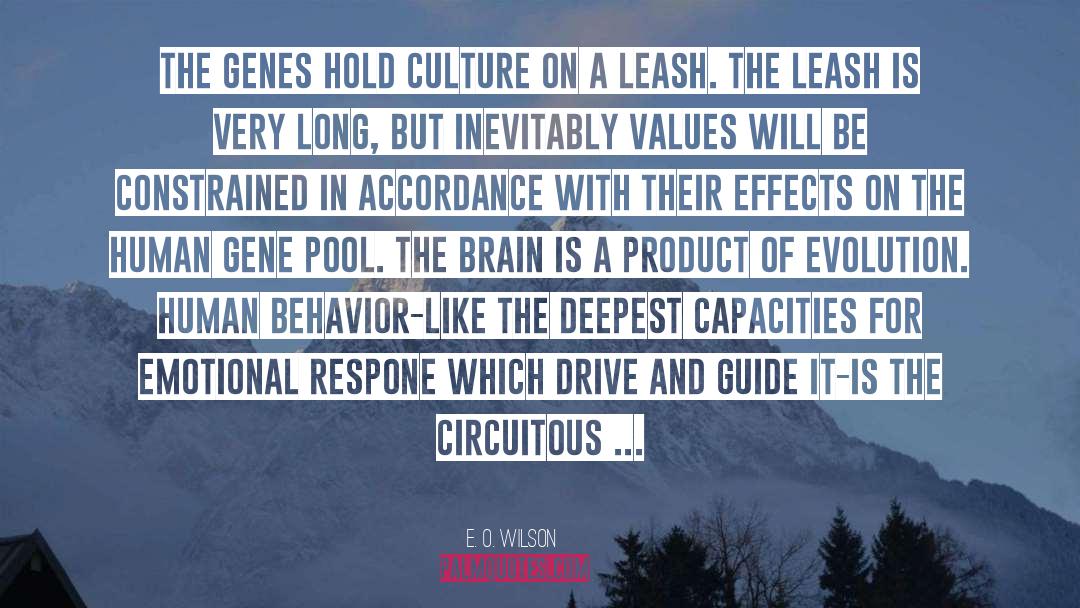 E. O. Wilson Quotes: The genes hold culture on