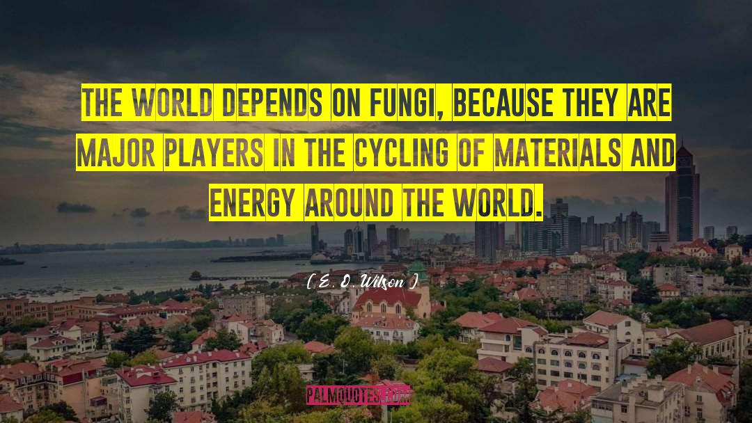 E. O. Wilson Quotes: The world depends on fungi,