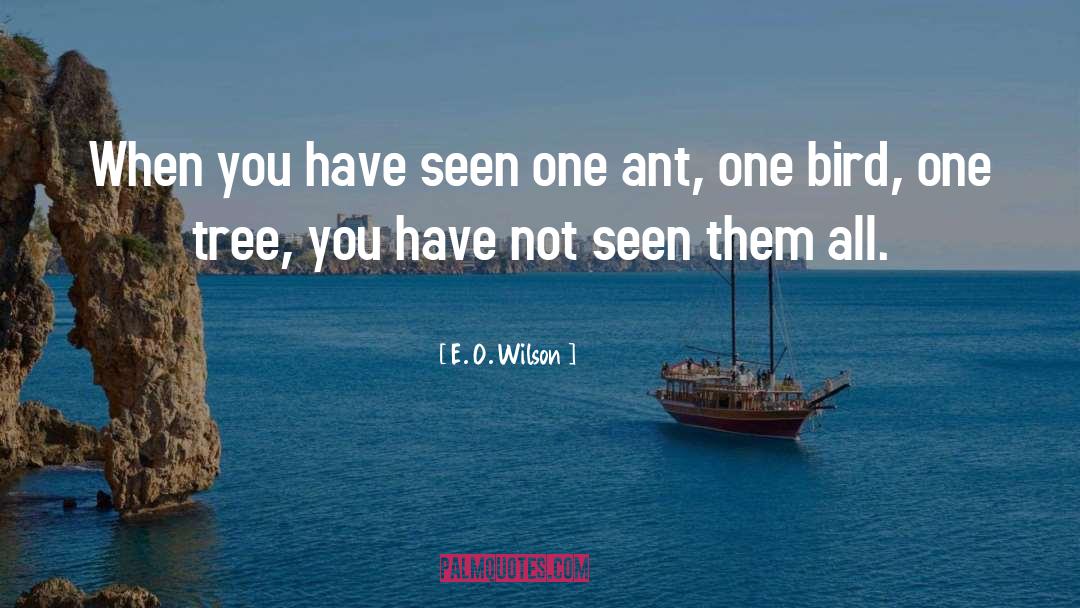 E. O. Wilson Quotes: When you have seen one
