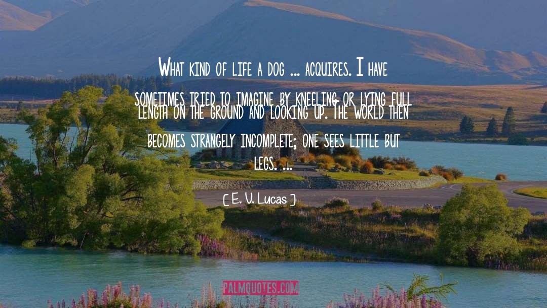 E. V. Lucas Quotes: What kind of life a