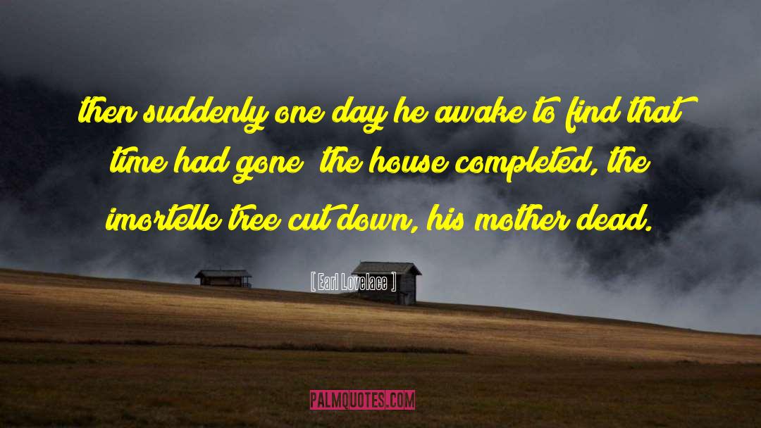 Earl Lovelace Quotes: then suddenly one day he