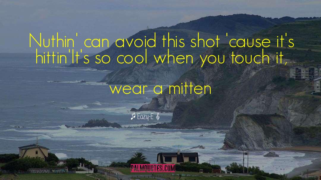 Eazy-E Quotes: Nuthin' can avoid this shot