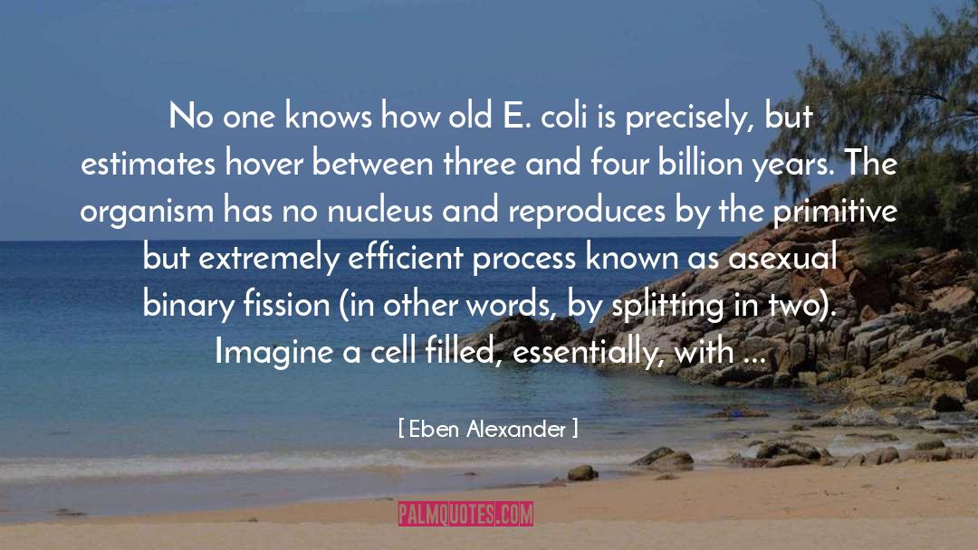 Eben Alexander Quotes: No one knows how old