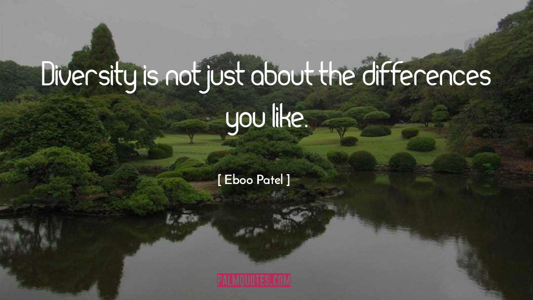 Eboo Patel Quotes: Diversity is not just about