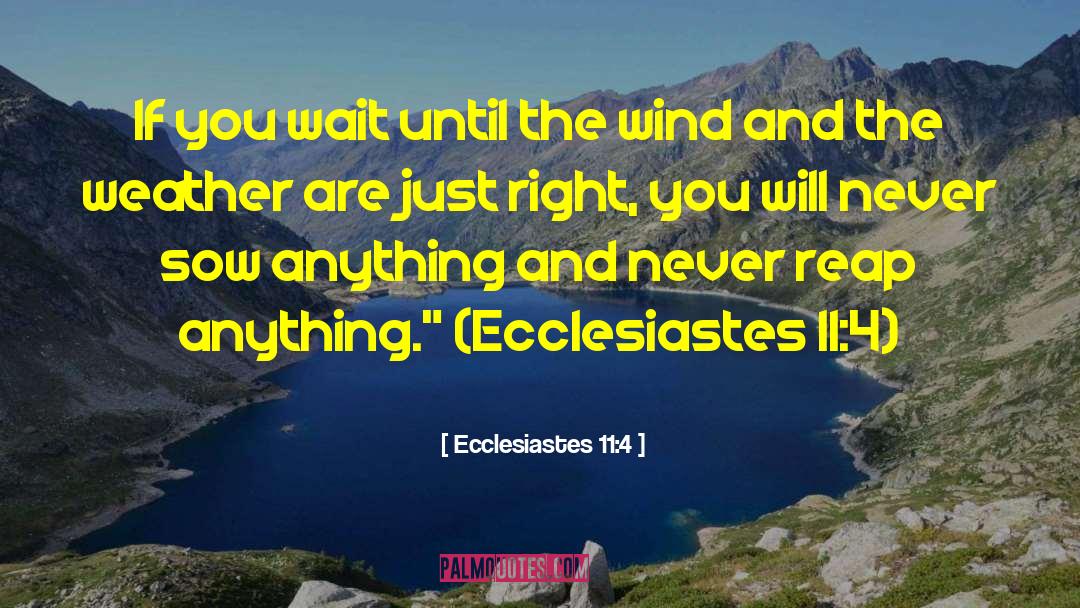 Ecclesiastes 11:4 Quotes: If you wait until the