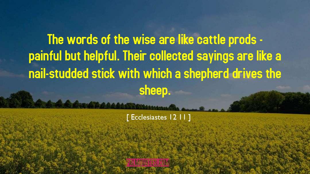 Ecclesiastes 12 11 Quotes: The words of the wise