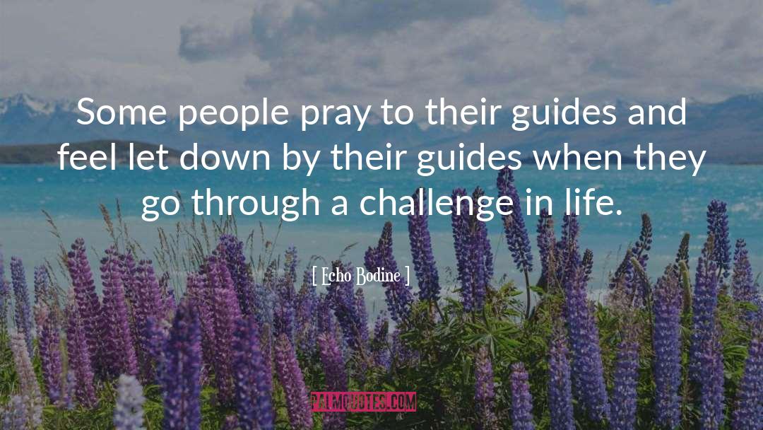 Echo Bodine Quotes: Some people pray to their