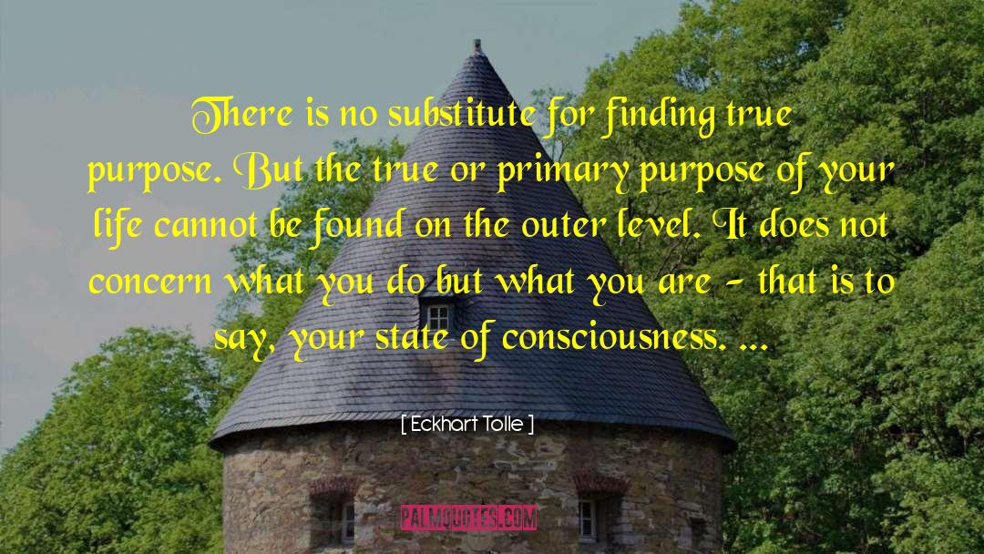 Eckhart Tolle Quotes: There is no substitute for