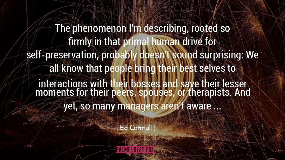 Ed Catmull Quotes: The phenomenon I'm describing, rooted