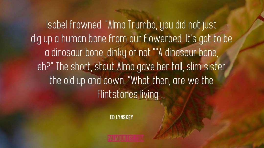 Ed Lynskey Quotes: Isabel frowned. 