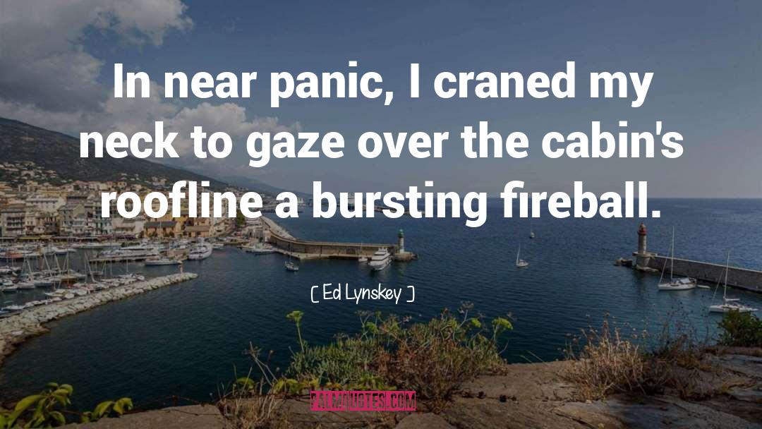 Ed Lynskey Quotes: In near panic, I craned