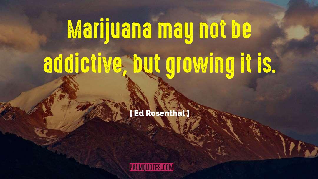 Ed Rosenthal Quotes: Marijuana may not be addictive,