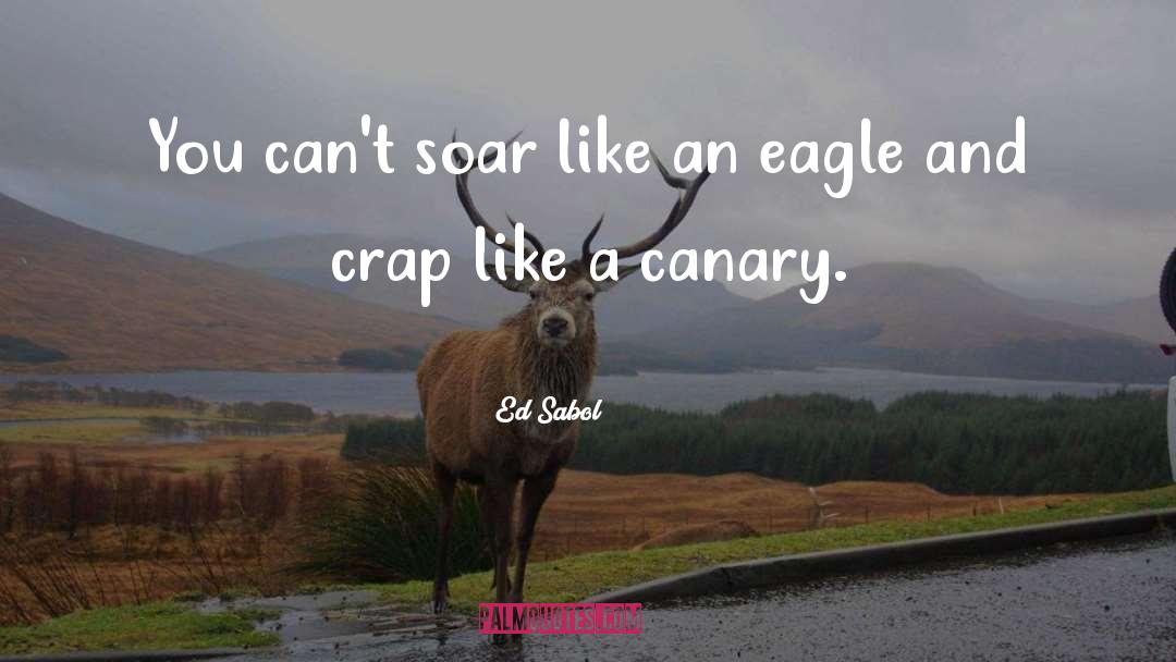 Ed Sabol Quotes: You can't soar like an