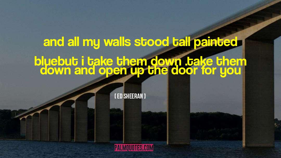 Ed Sheeran Quotes: and all my walls stood