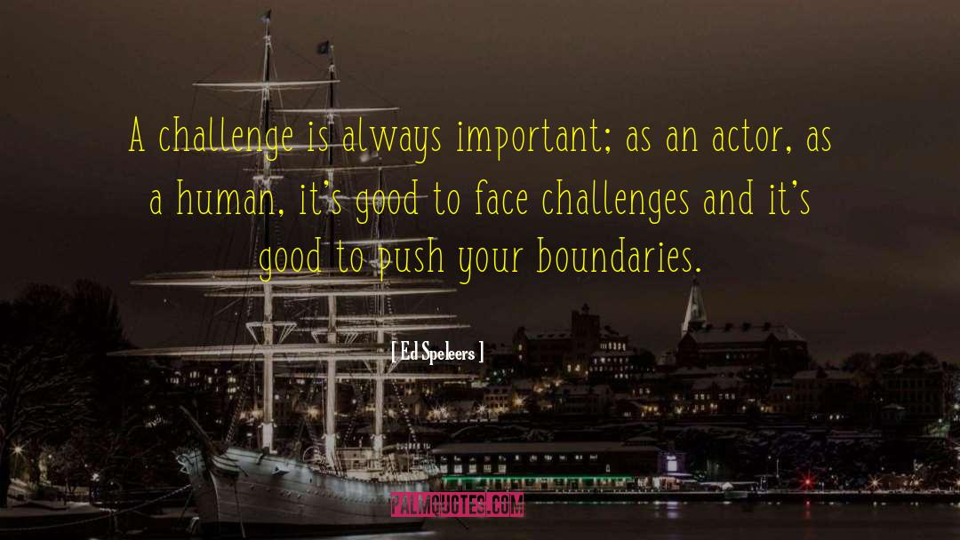 Ed Speleers Quotes: A challenge is always important;